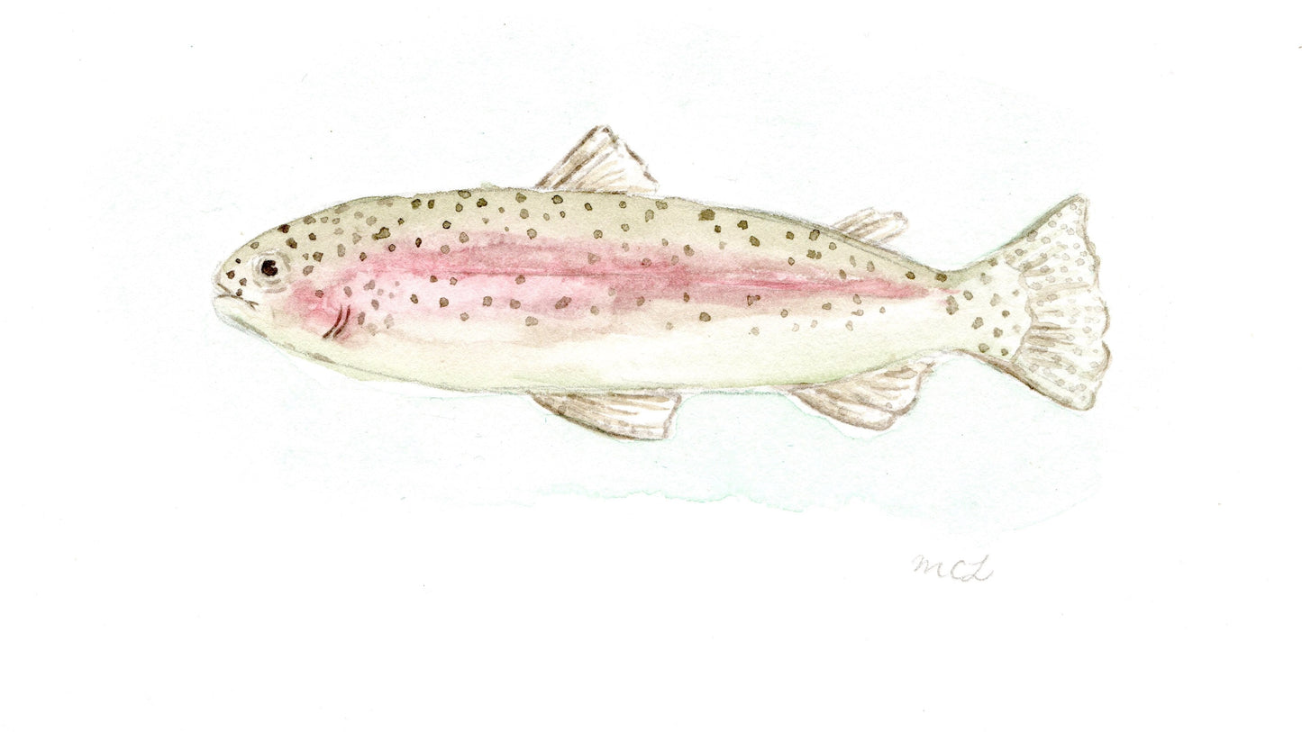 Over the Rainbow Trout Print