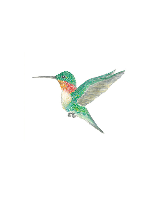 Little Garden Friend Print