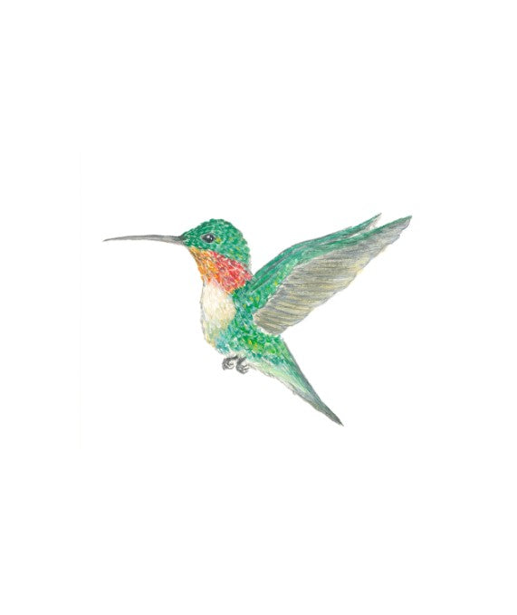 Hummingbird Print