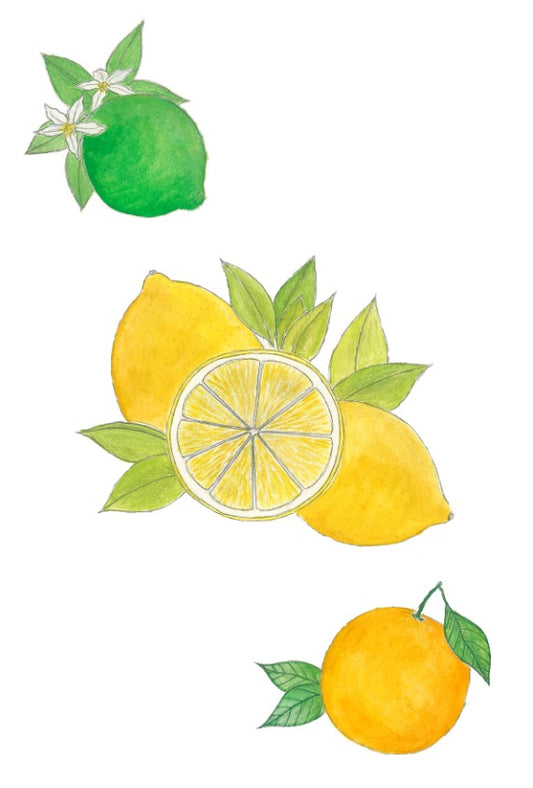 Lime, Lemon & Orange Print